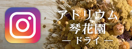 インスタグラム　アトリウム琴花園　ドライ
