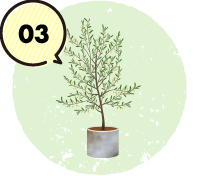 お見積り・ご提案